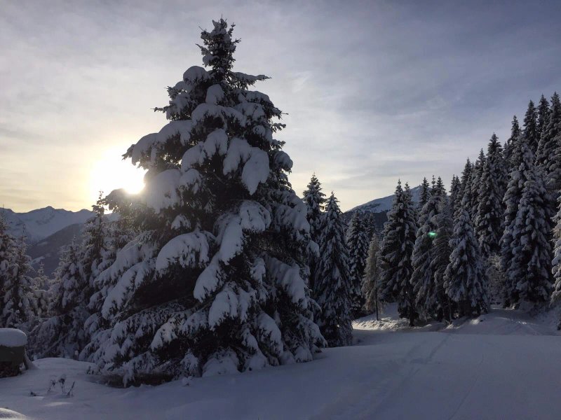 Alpengasthof Barsteinalm