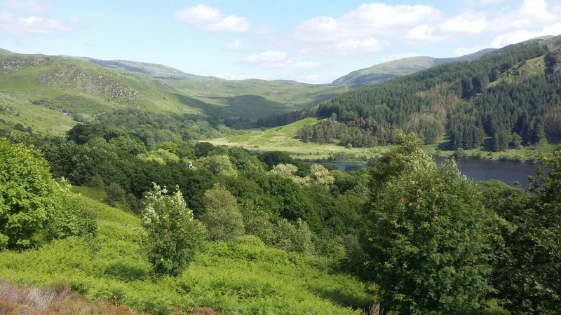Glentrool Camping and Caravan Site