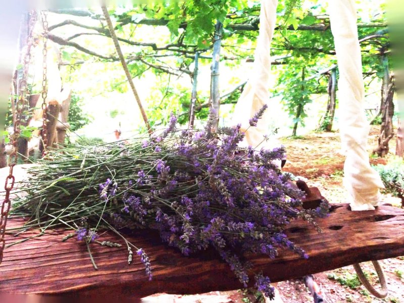 B&B Il Tintore