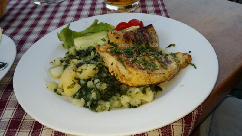 Konoda Broscica