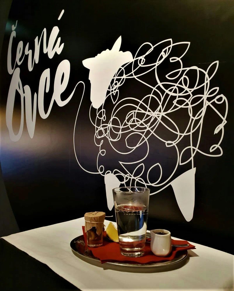 Cerna ovce