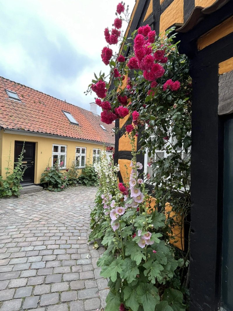 Det Bla Ishus