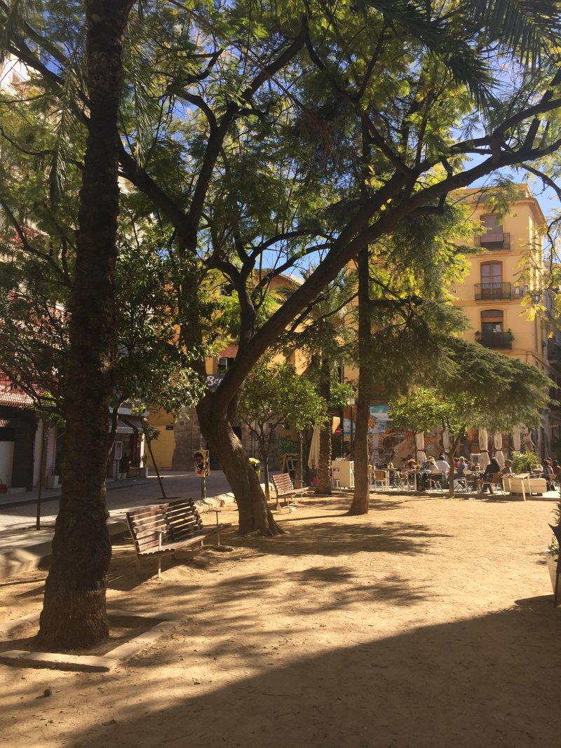 La Pitusa