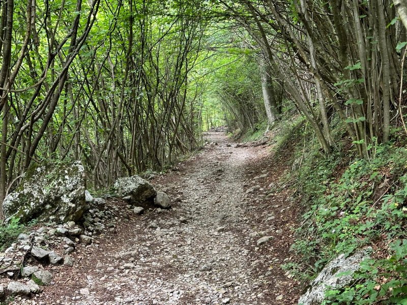 Agriturismo ai Grassi e Lunghi