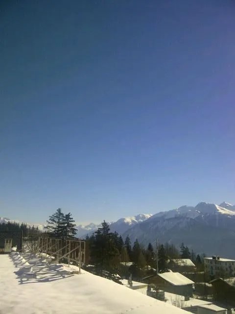 Hotel Alpina & Savoy