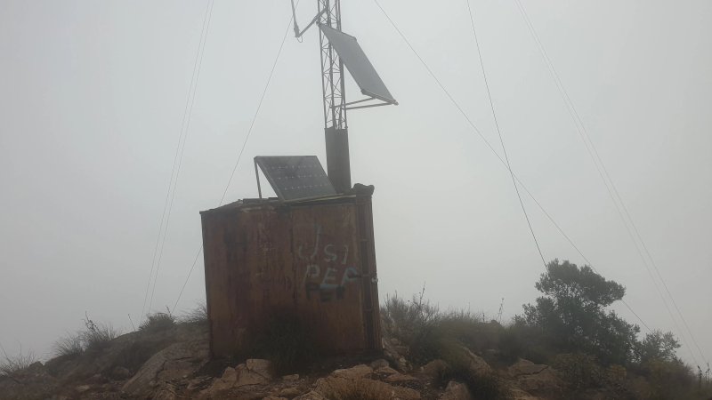 Pico Del Algarrobo