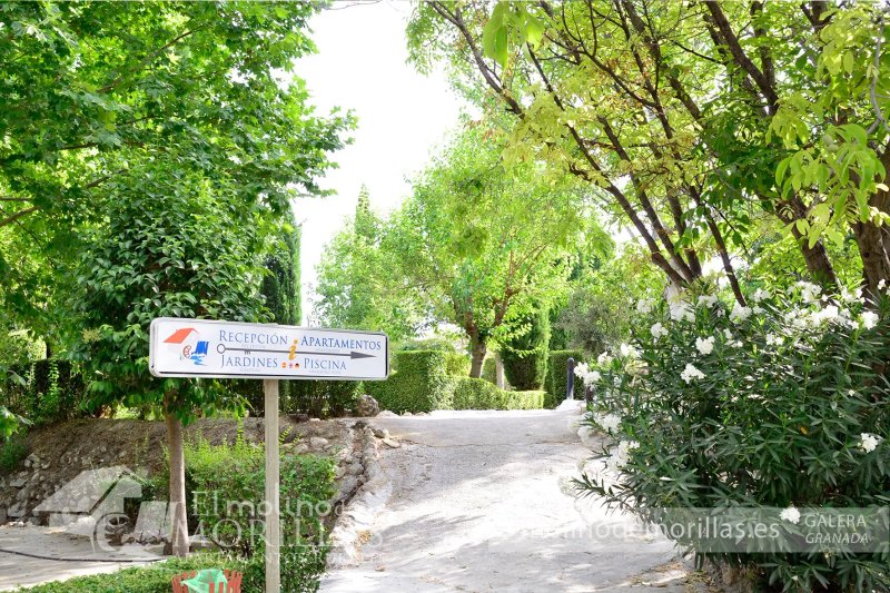 Apartamentos Rurales El Molino de Morillas