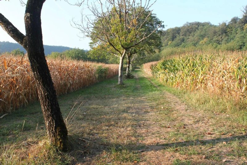Le Four à Sel Gîtes et Chambres d'hôtes