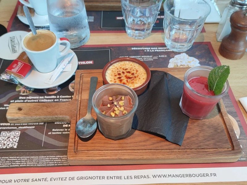Hippopotamus Mulhouse Dornach
