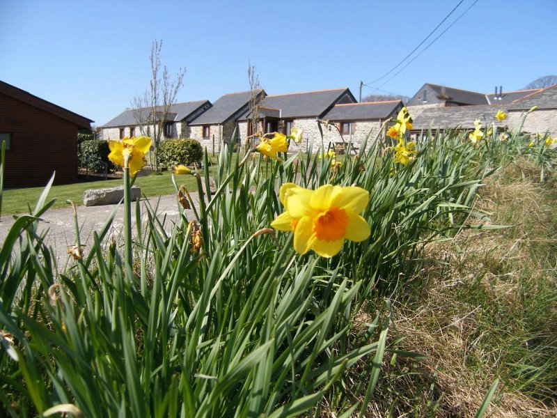 Higher Menadew Farm Cottages