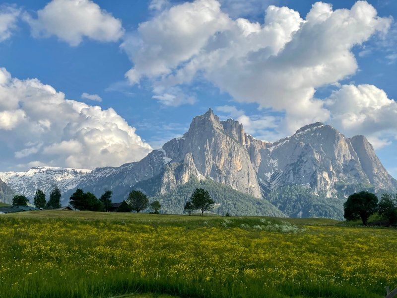 Schererhof