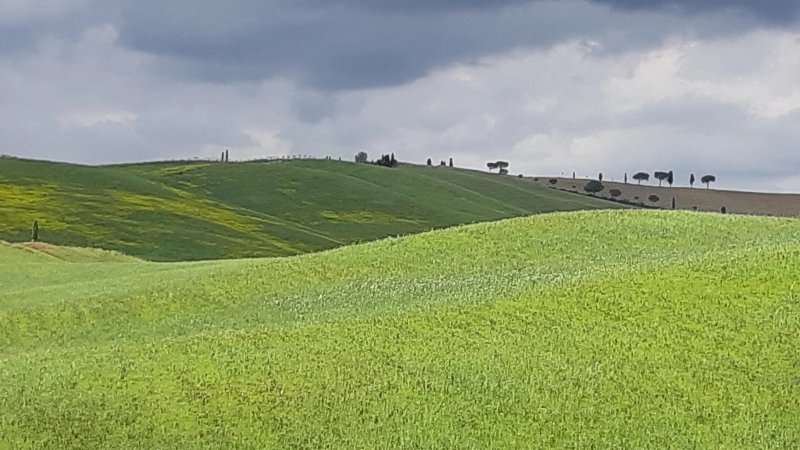 Poggio Tobruk