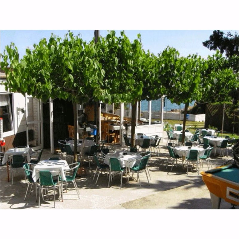 Biergarten Tinabar