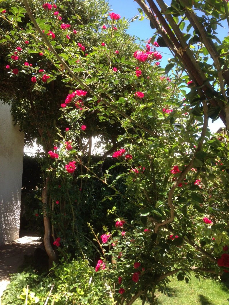 B&B Villa Piera Montecucco