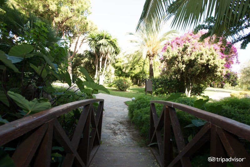 Don Carlos Marbella Hotel