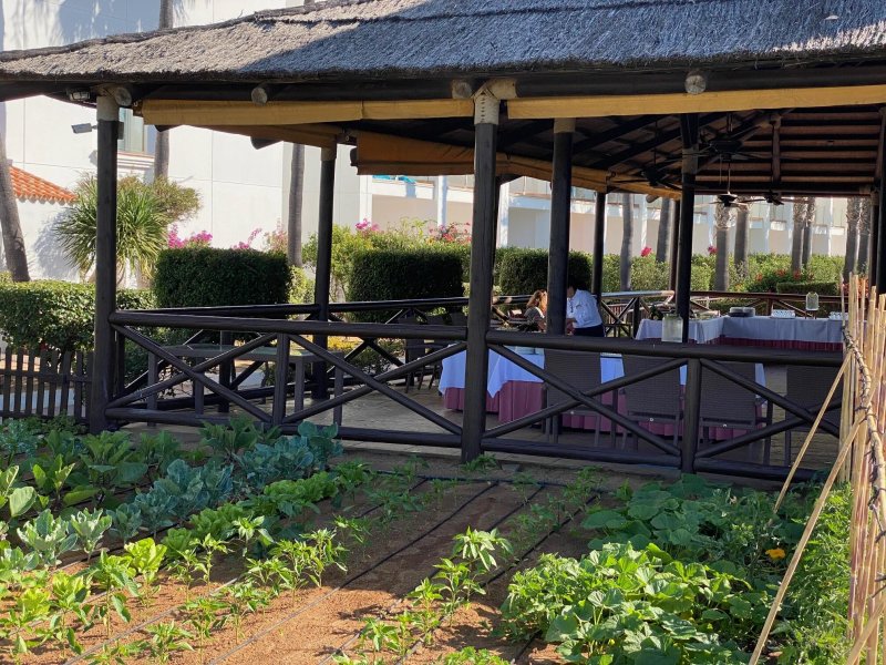 Restaurante Naos Costa Ballena