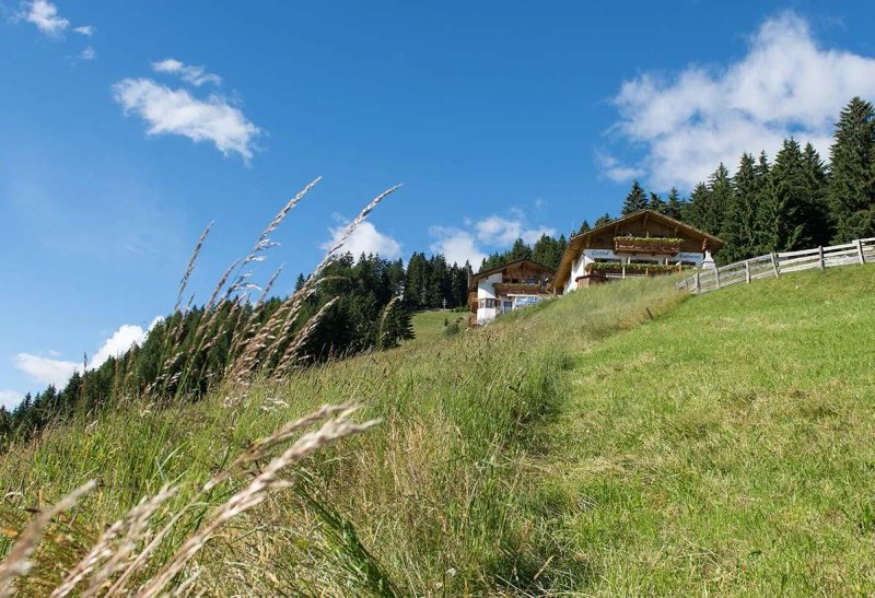 Gasthof Hochwies