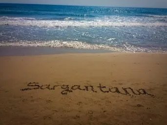 Sargantana