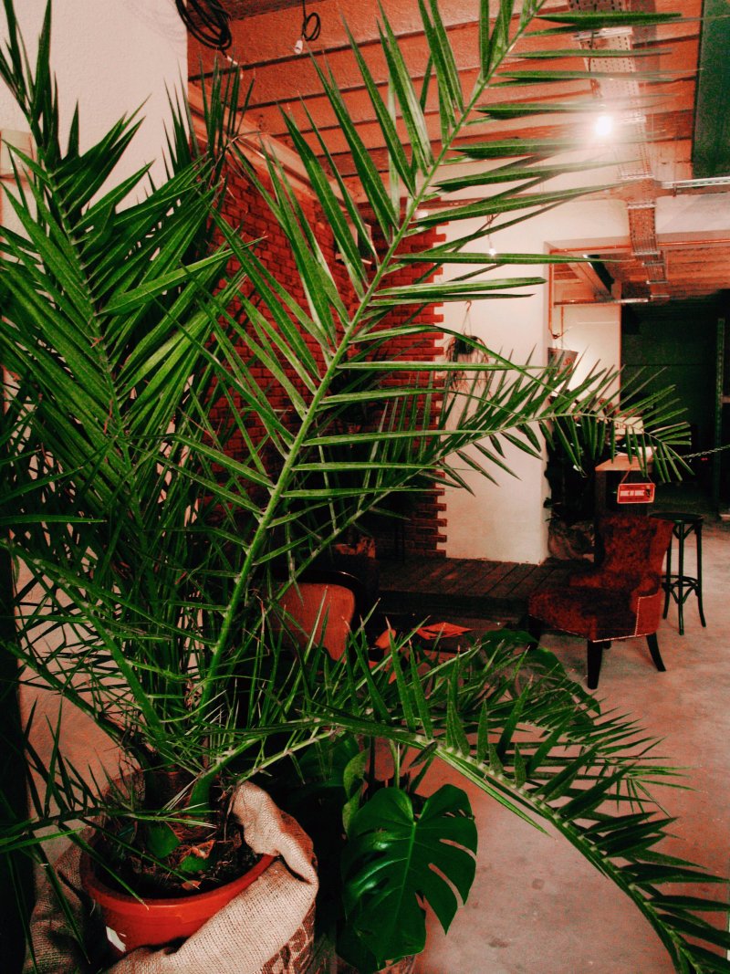Hydrophobie Brewpub