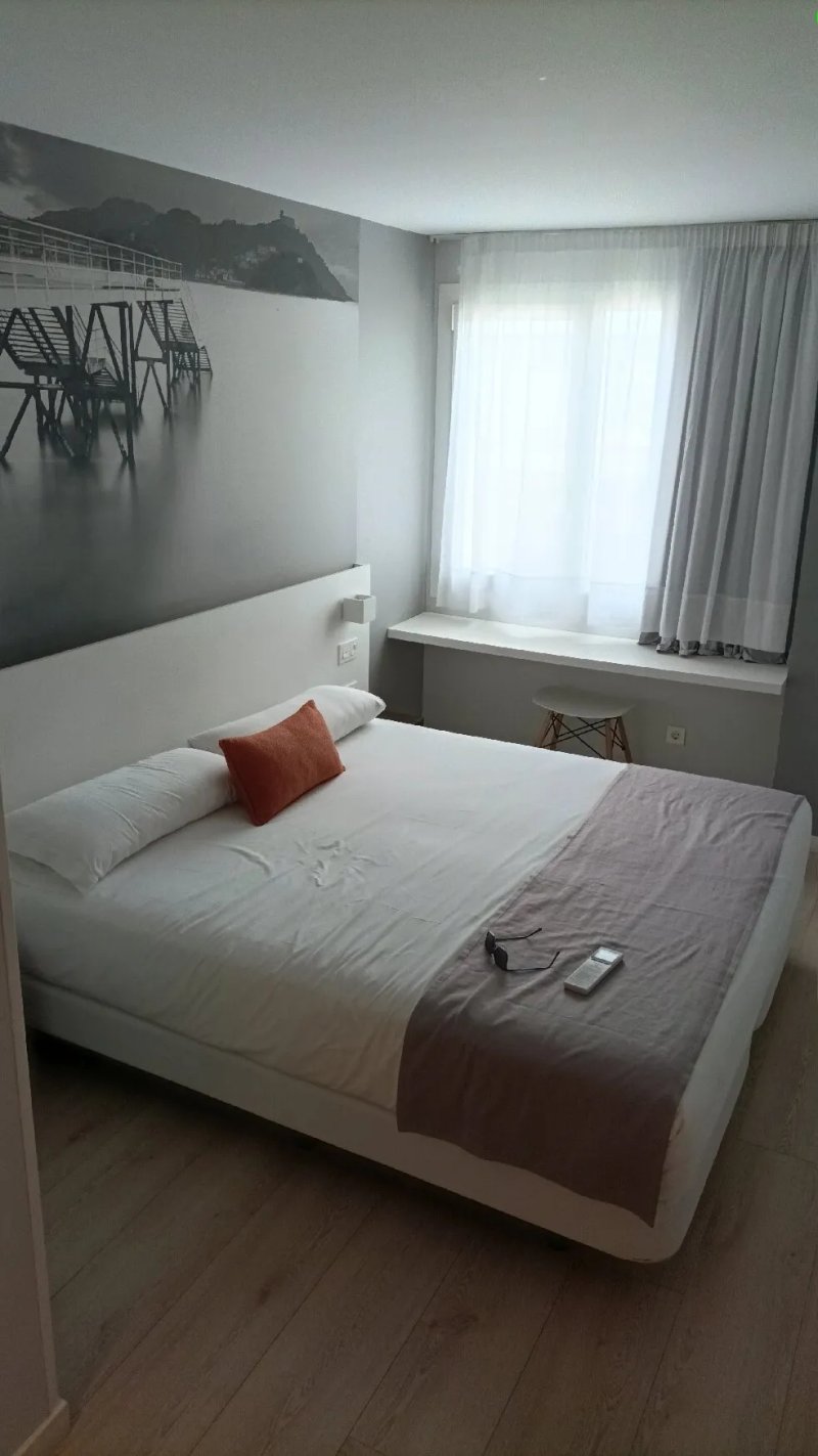 Pension Txingurri