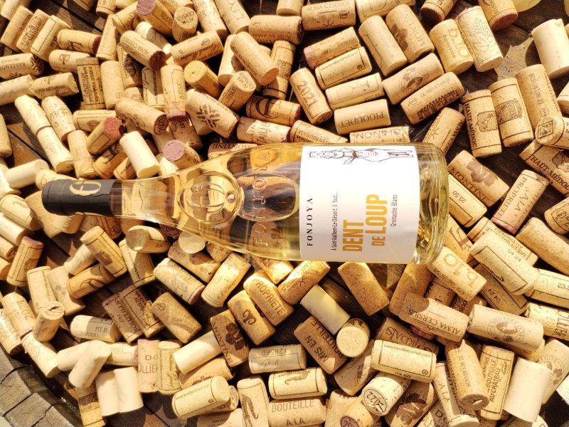 Le Picovino