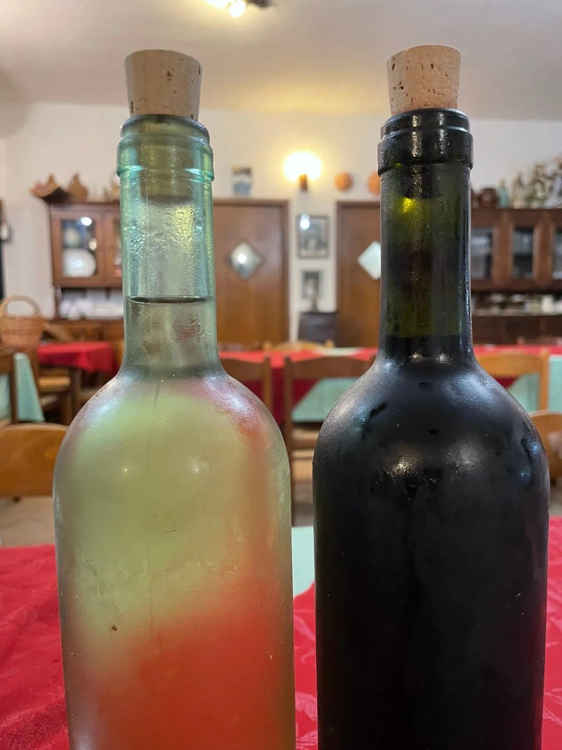 Agriturismo L'Olivastro