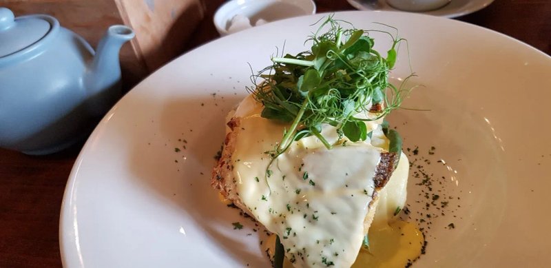 The Yew Tree