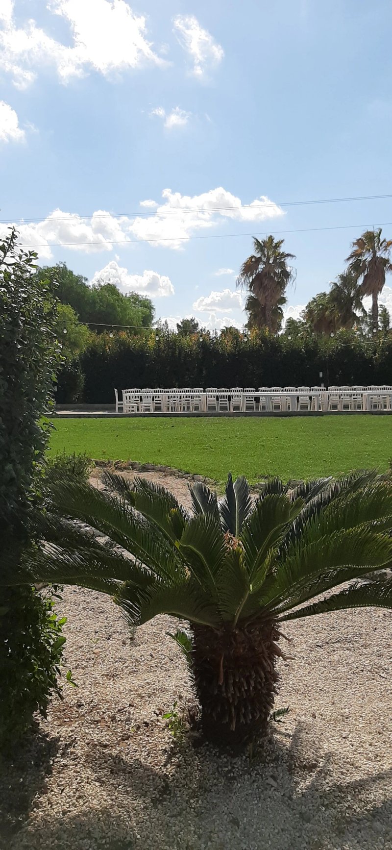 Papilla Restaurant & Event