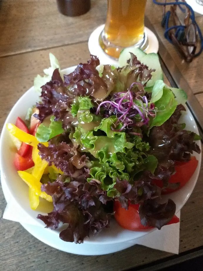 Restaurant Terra
