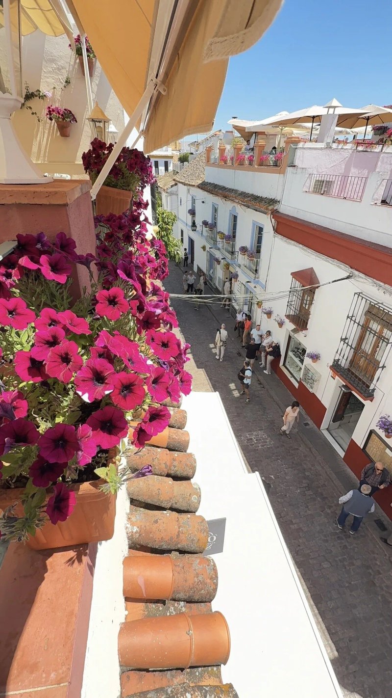 Taberna El No. 10