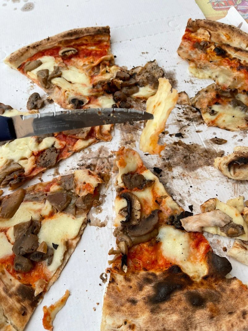 Il Tulipano Ristorante Pizzeria
