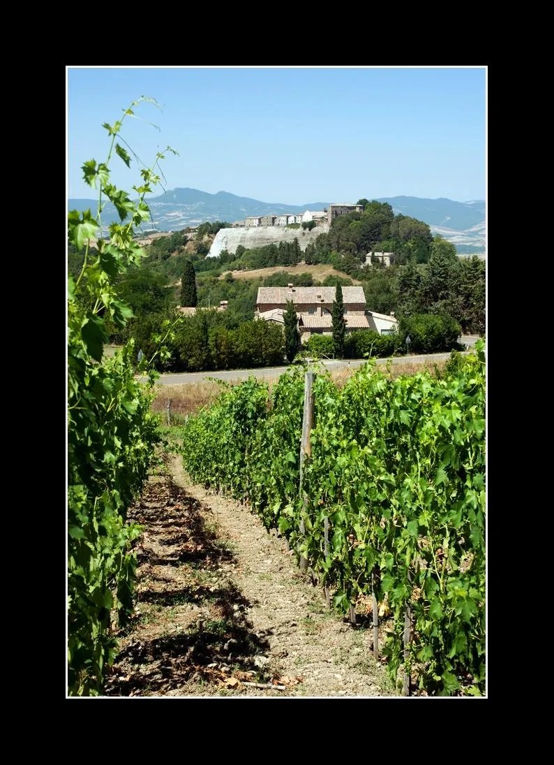 Podere Orto Wine Country House