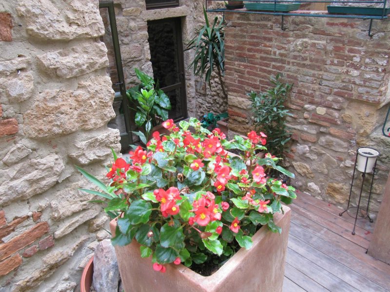Taverna Via di Mezzo