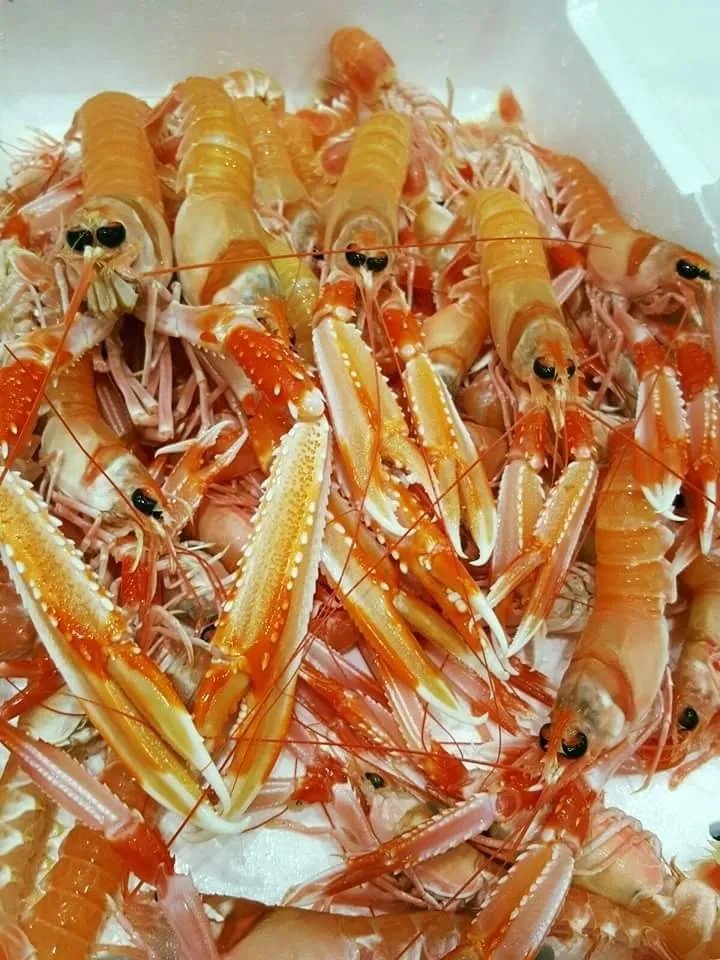 Pescheria Amore Di Mare