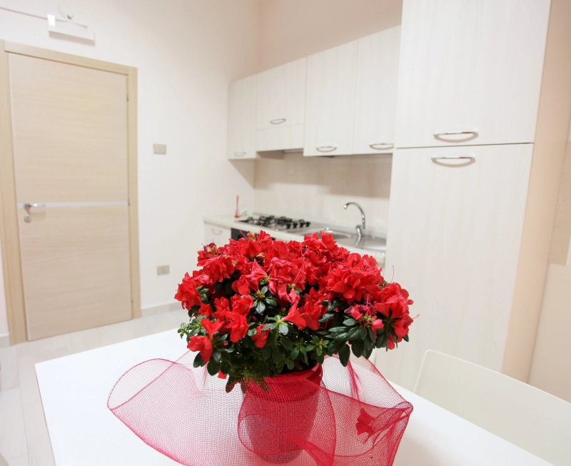 Central Apartments - B&B and Suites