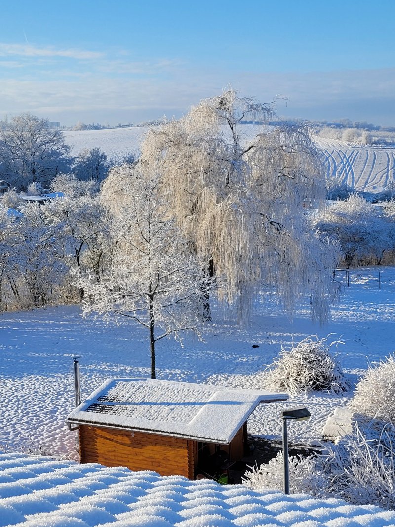 Elsterblick