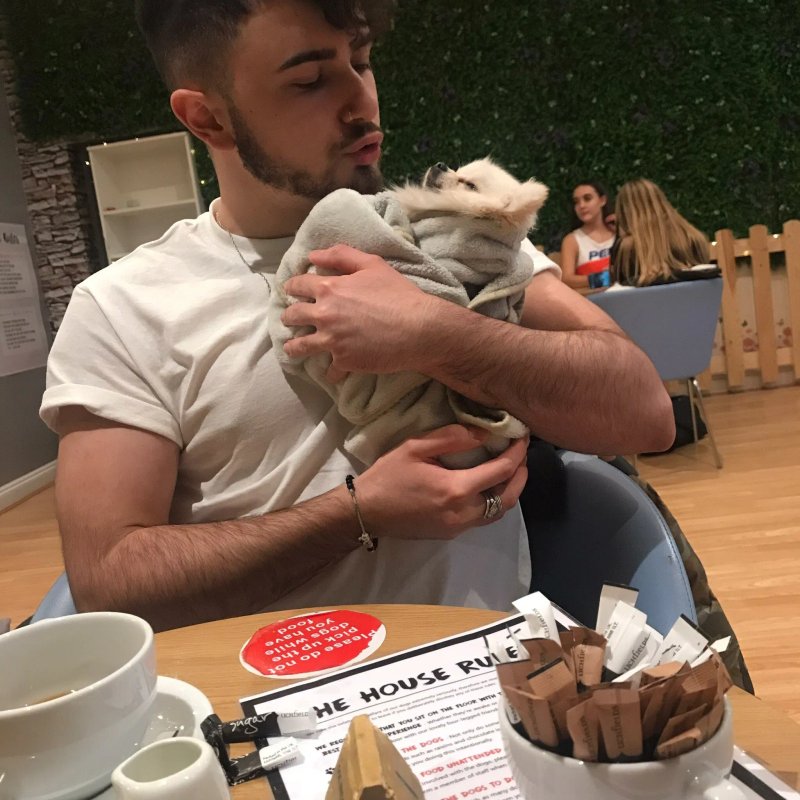 Dog and Scone