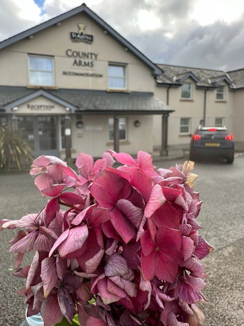The County Arms