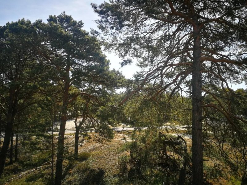 Apartamenty Czarny Kormoran