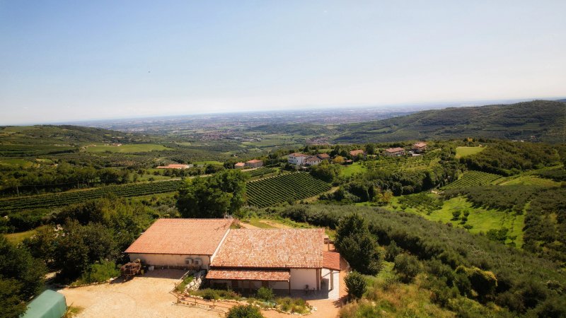 Agriturismo La Perlara