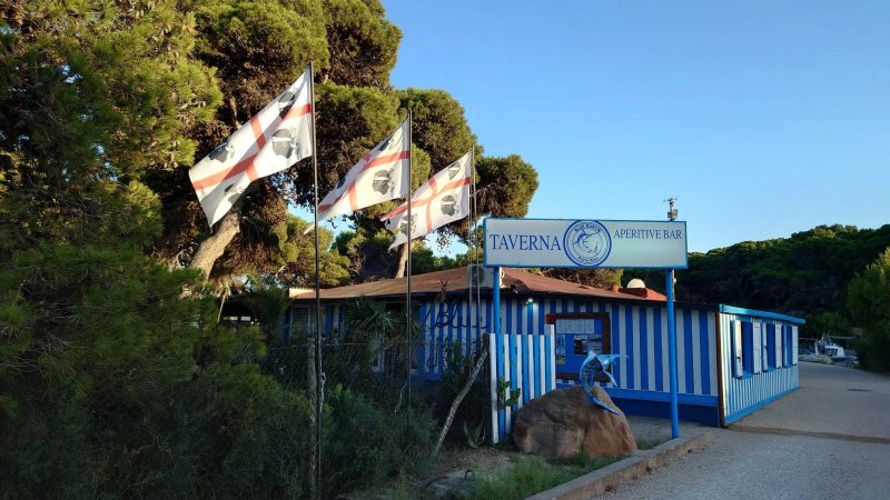 Taverna Blue Marlin