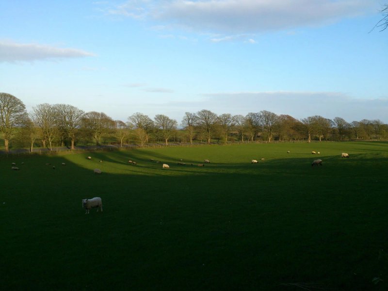 Eden Lodge Hotel & Restaurant