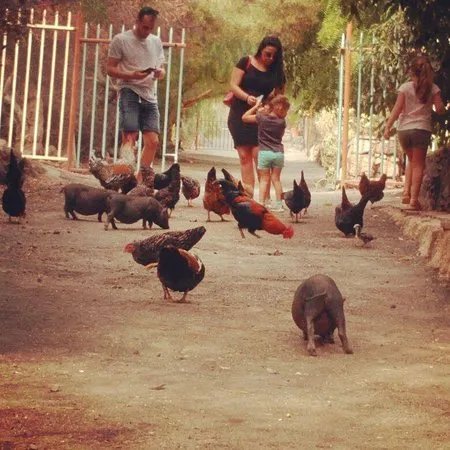 Finca El Carreton
