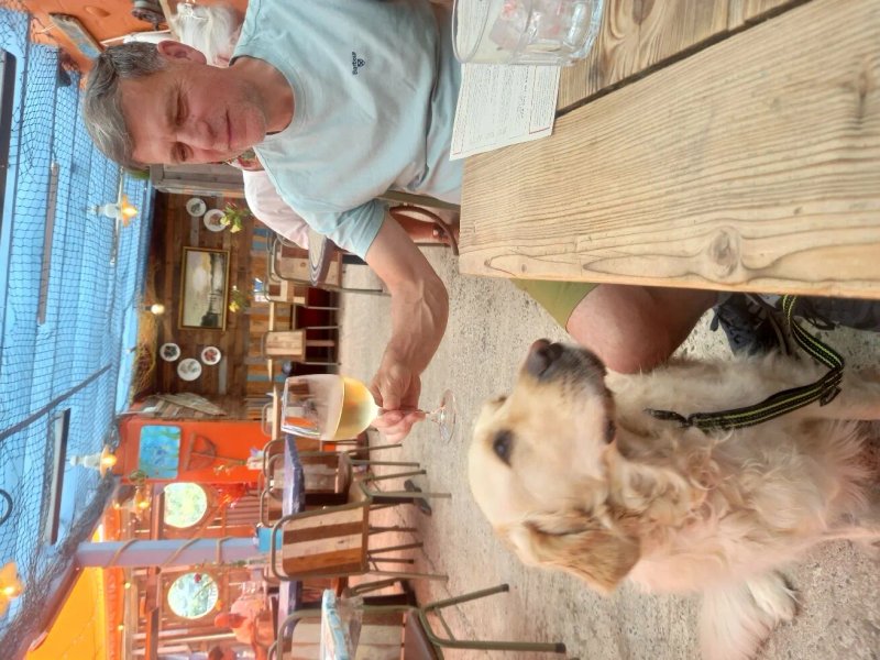 The Oyster Shack