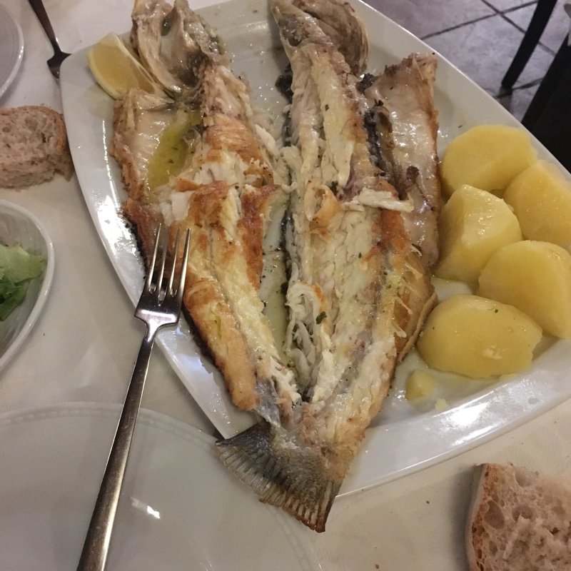 A Finca do Parrulo