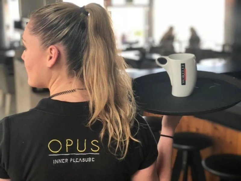 Opus Inner Pleasure