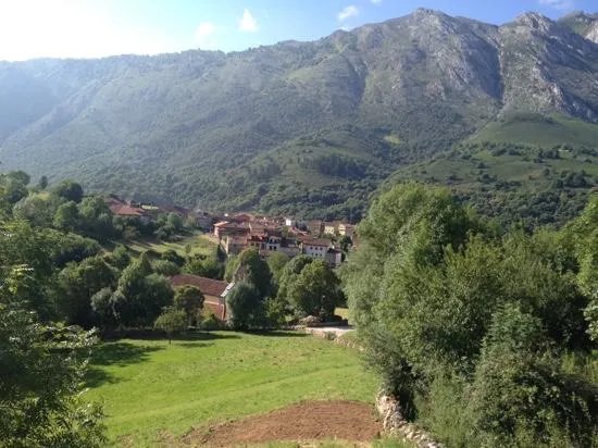 Apartamentos El Ardinal