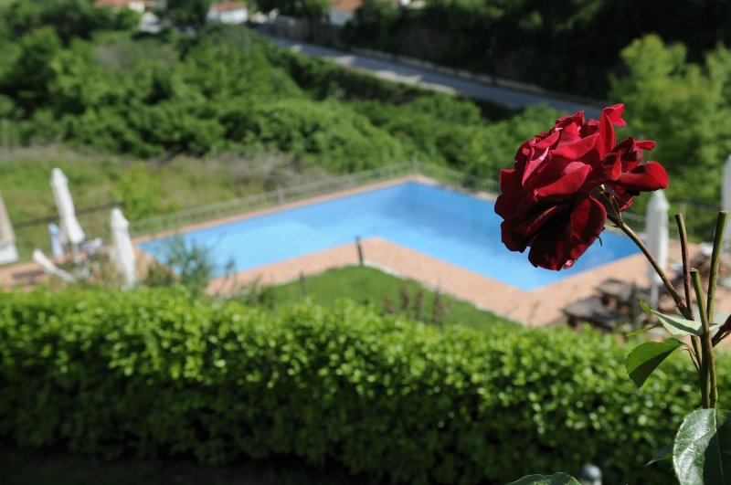Jennifer Home-Hotel