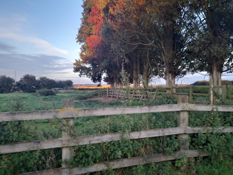 Sunrise Eco Glamping