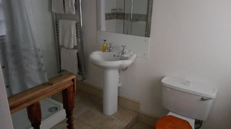 The Admiral Hornblower
